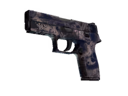 P250 | Drought (Field-Tested)
